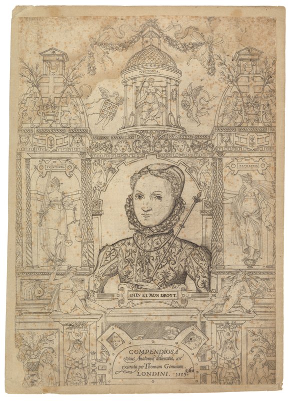 Reine Élisabeth I - English School