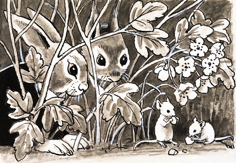 Lapins et souris - English School
