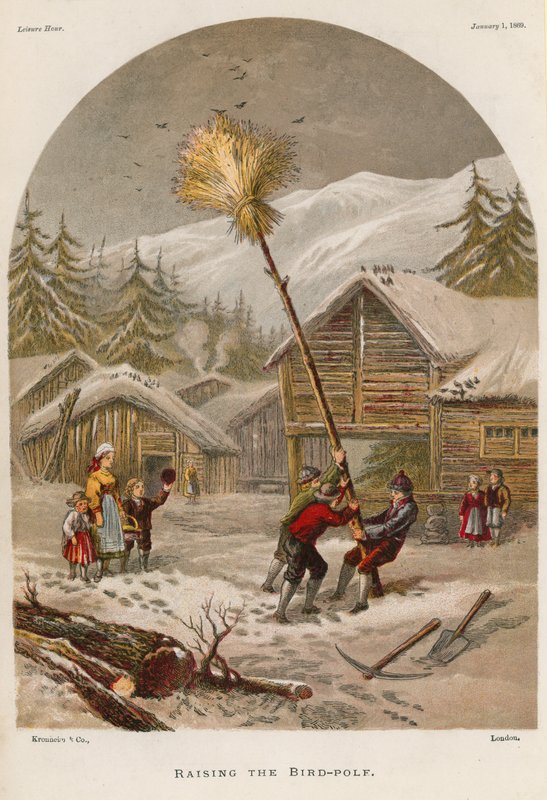 Élever le mât à oiseaux - English School