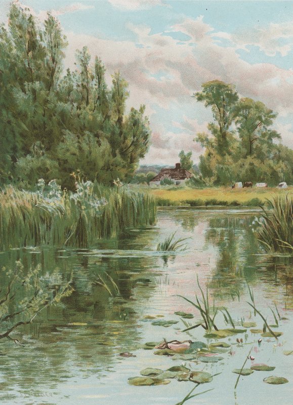 Scène de rivière - English School
