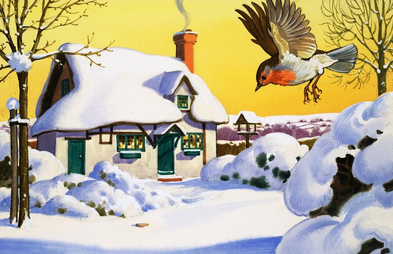 Rouge-gorge volant dans la neige - English School