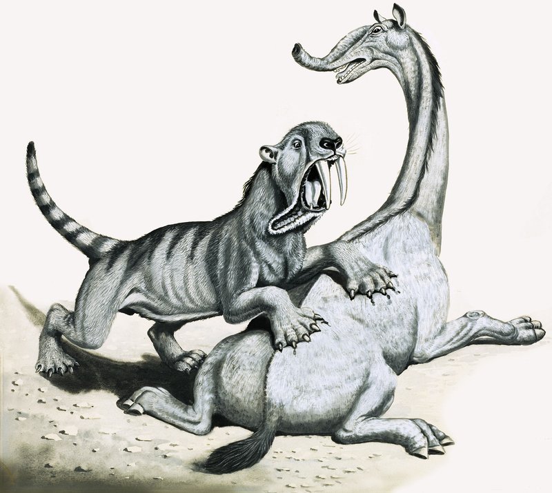 Tigre à dents de sabre attaquant une créature préhistorique non identifiée - English School