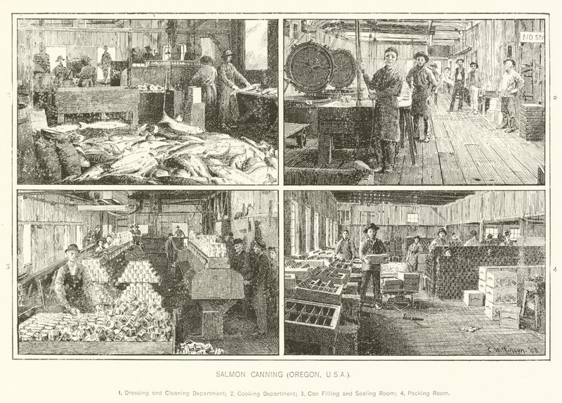 Conserve de saumon, Oregon, USA - English School