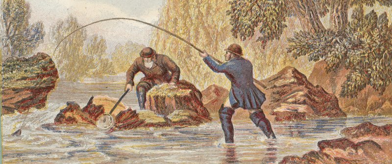 Pêche au saumon - English School