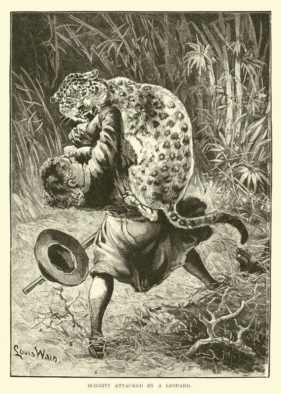 Schmitt attaqué par un léopard - English School