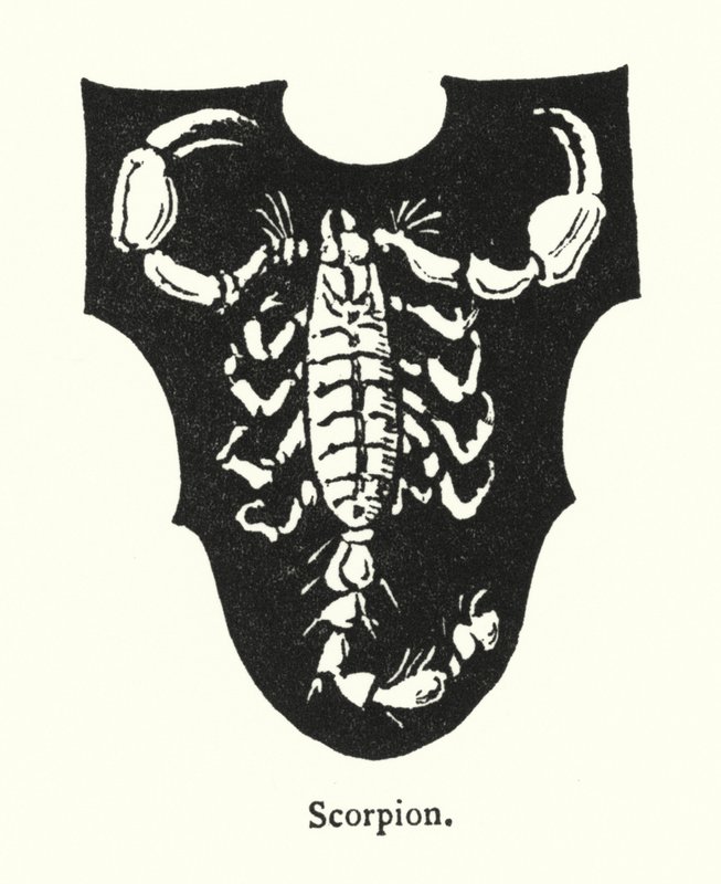 Scorpion (gravure) - English School