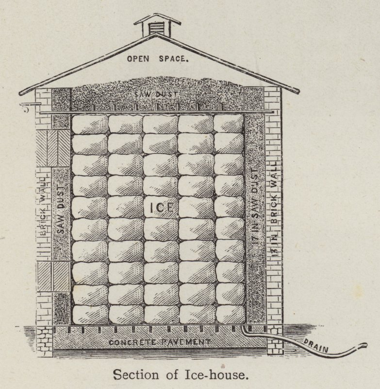 Section de glacière - English School