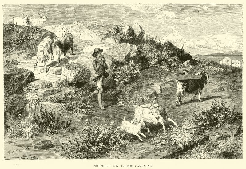 Jeune berger dans la Campagne - English School