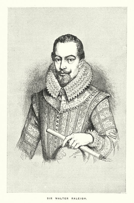 Sir Walter Raleigh (gravure) - English School