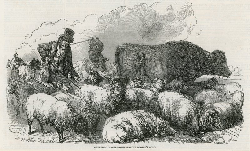 Marché de Smithfield - English School