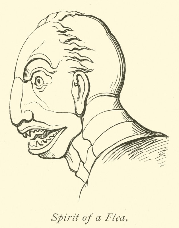 L
