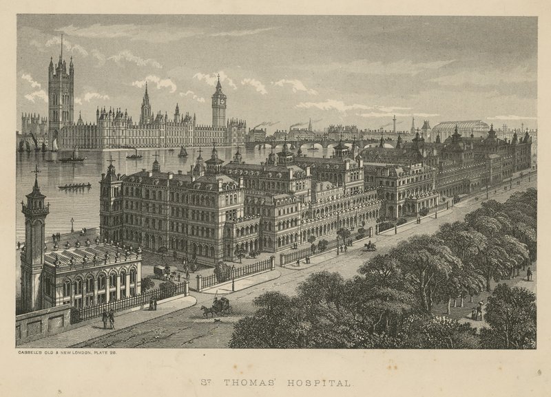 Hôpital St Thomas, Londres - English School