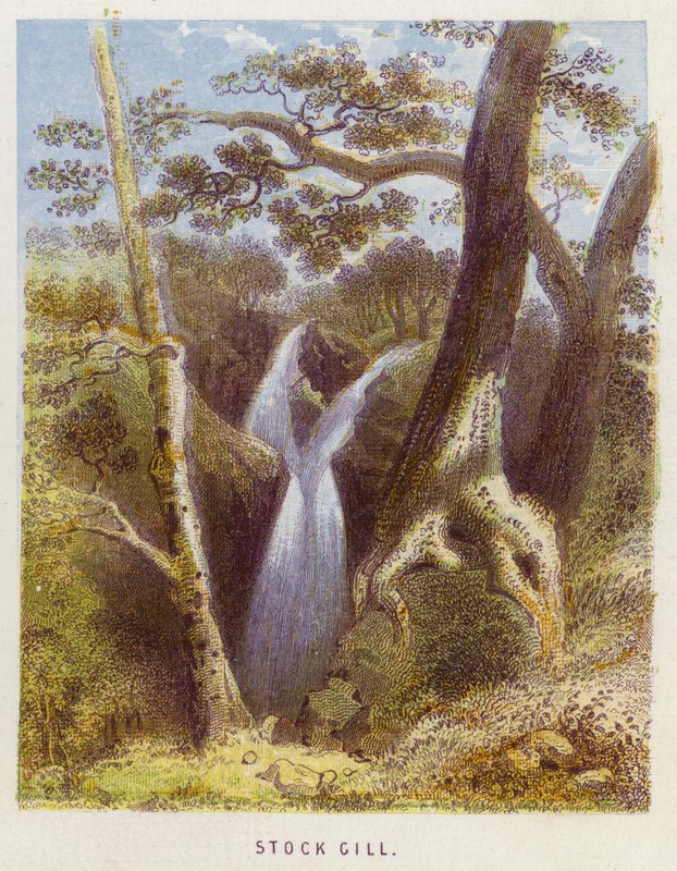 Stock Gill - English School