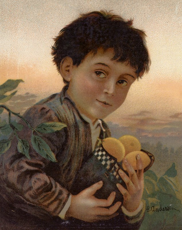Fruit volé - English School
