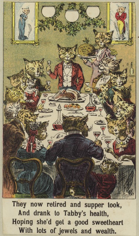 La fête de Tabby - English School