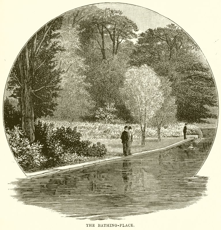 Le lieu de baignade - English School