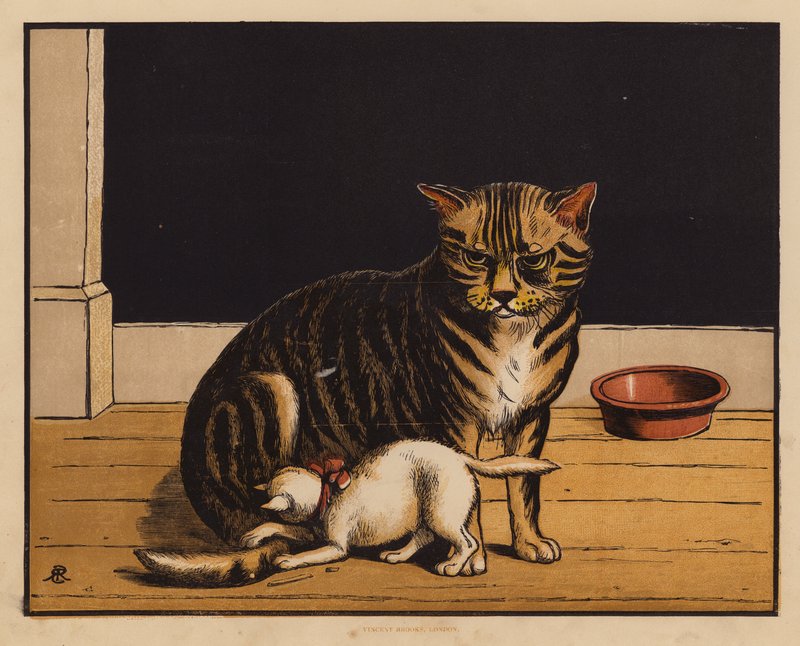 Le Chat - English School