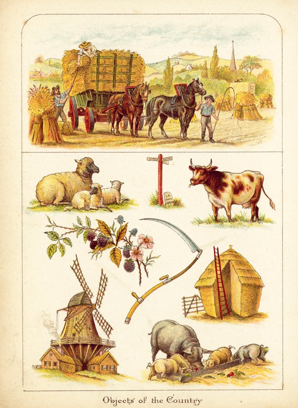 La campagne - English School