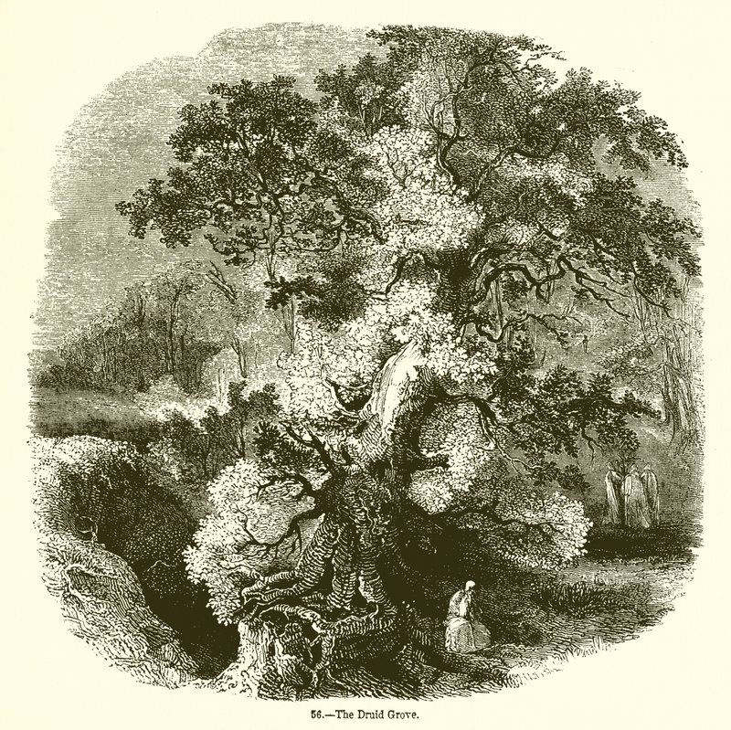 Le Bosquet des Druides - English School