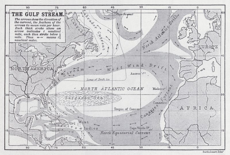 Le Gulf Stream - English School