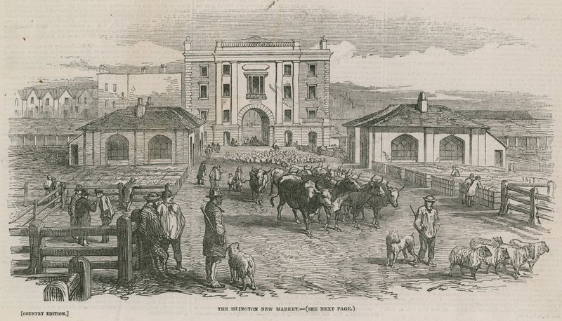 Le nouveau marché d