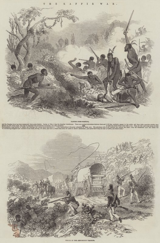 La guerre des Kaffirs - English School