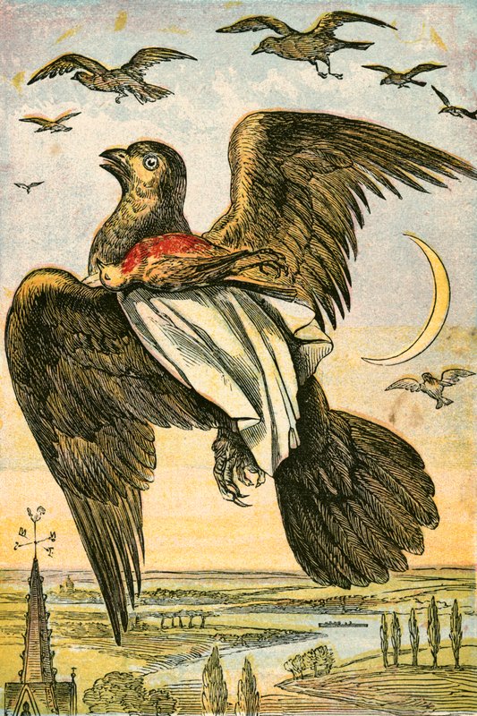 Le cerf-volant et le rouge-gorge - English School