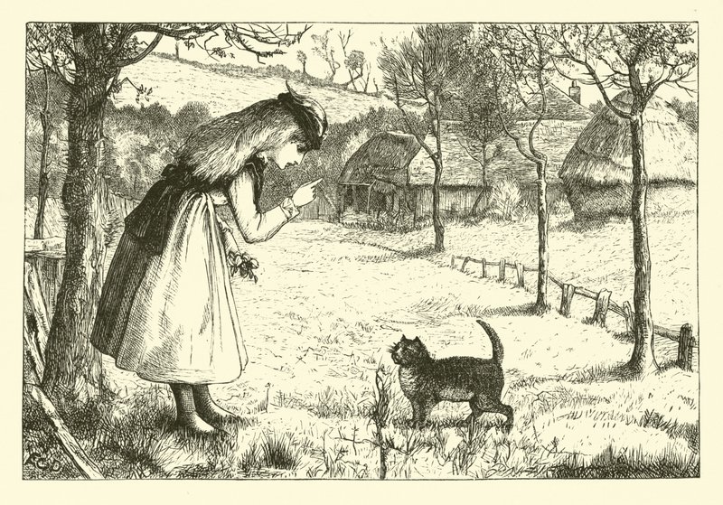 Le chat paresseux - English School