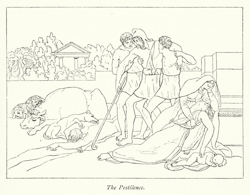 La Peste - English School
