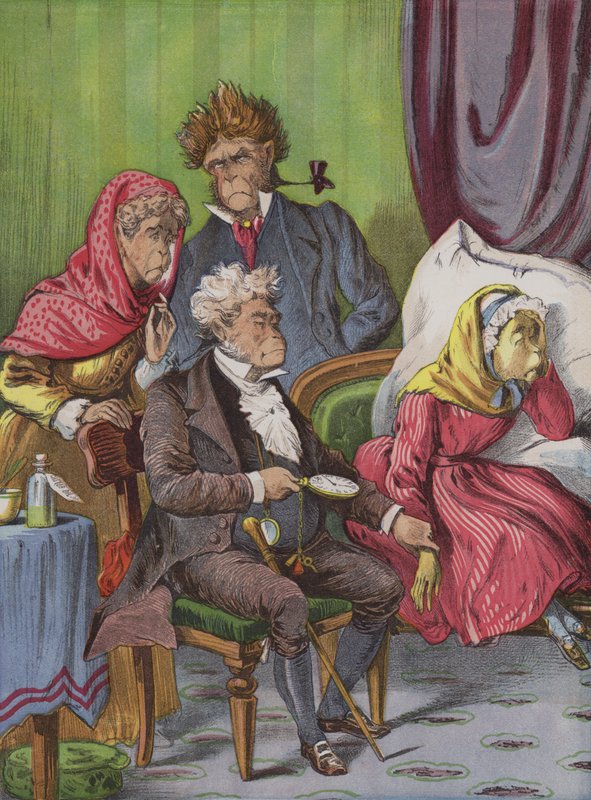 Le médecin (chromolithographie) - English School