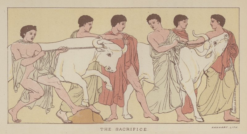Le Sacrifice - English School