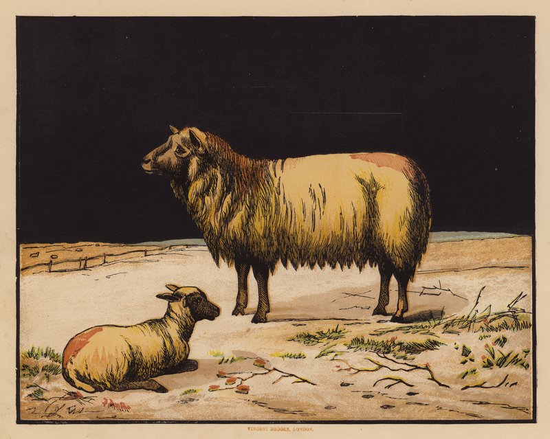 Le Mouton - English School