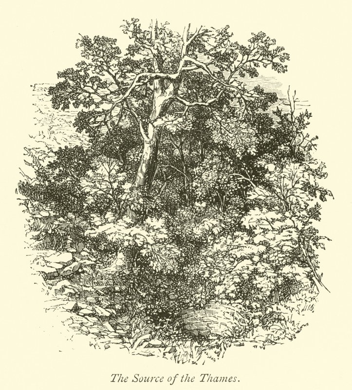 La Source de la Tamise - English School