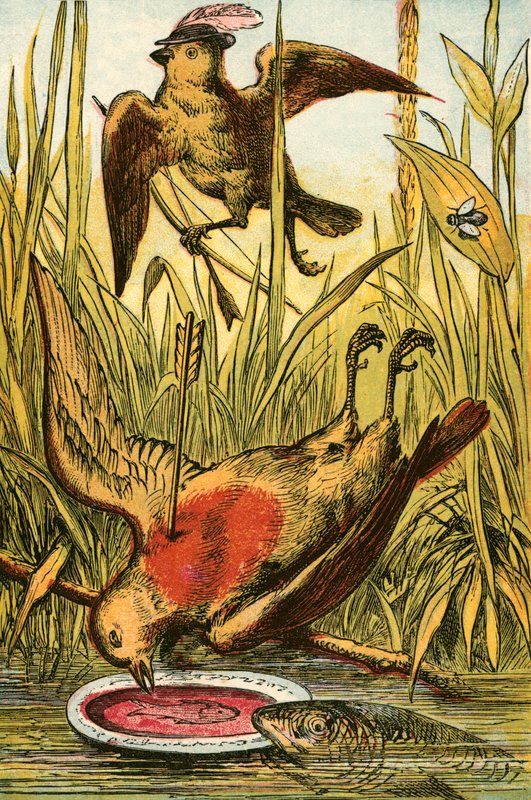 Le Moineau, Cock Robin et le poisson - English School