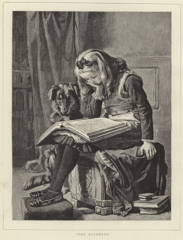 Les étudiants - English School