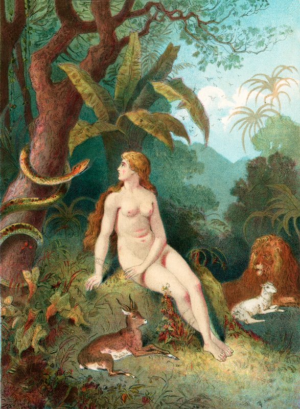 La Tentation - English School