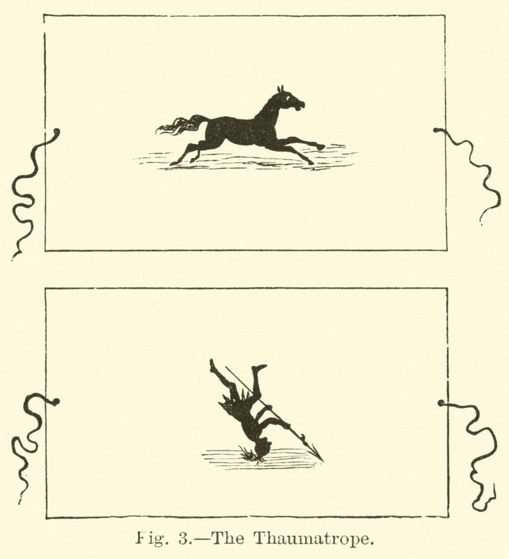 Le thaumatrope - English School