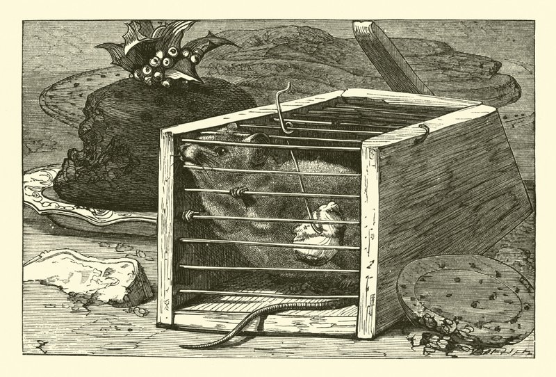 La souris voleuse - English School