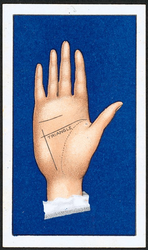 Le Triangle (1) - English School