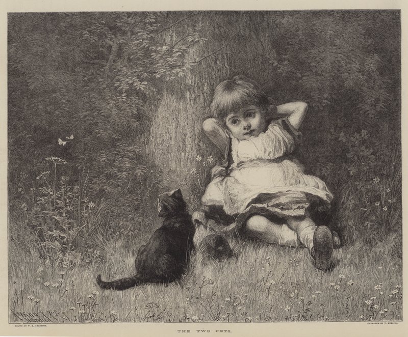 Les deux animaux de compagnie (gravure) - English School
