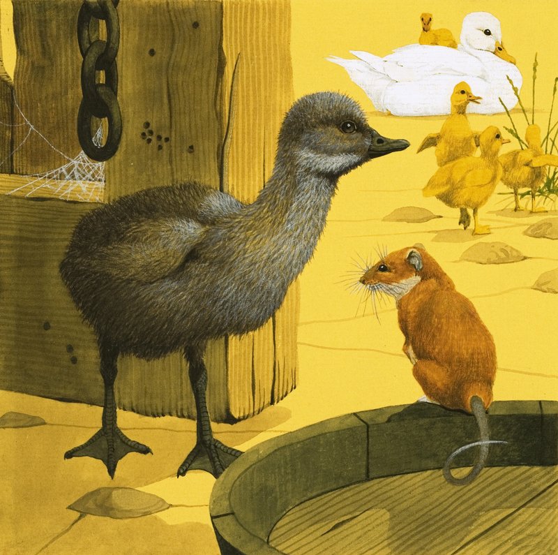 Le Vilain Petit Canard - English School