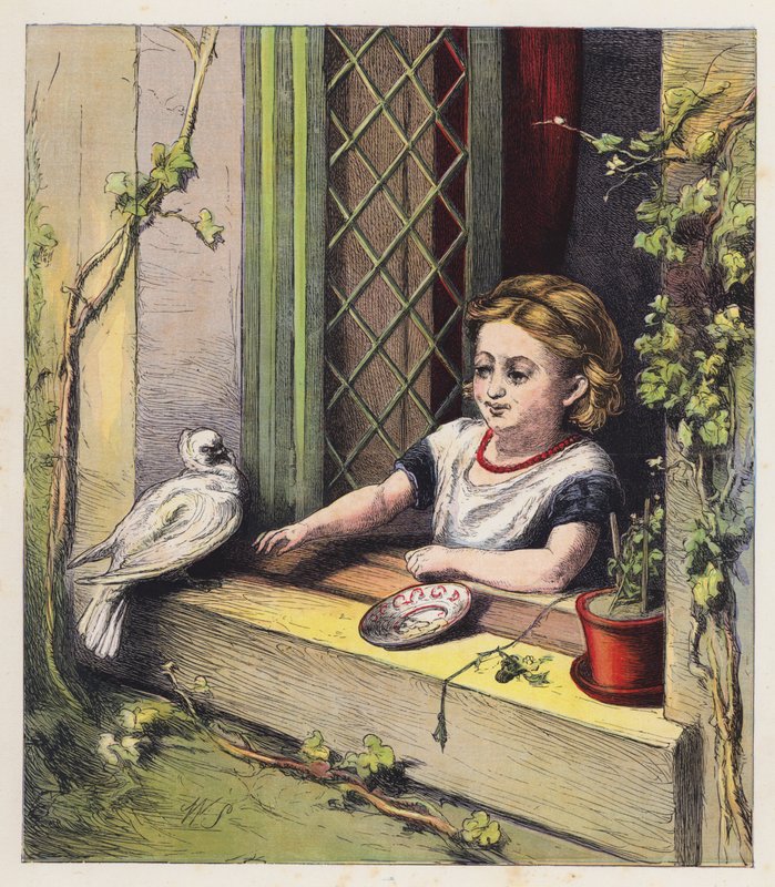 La colombe blanche - English School