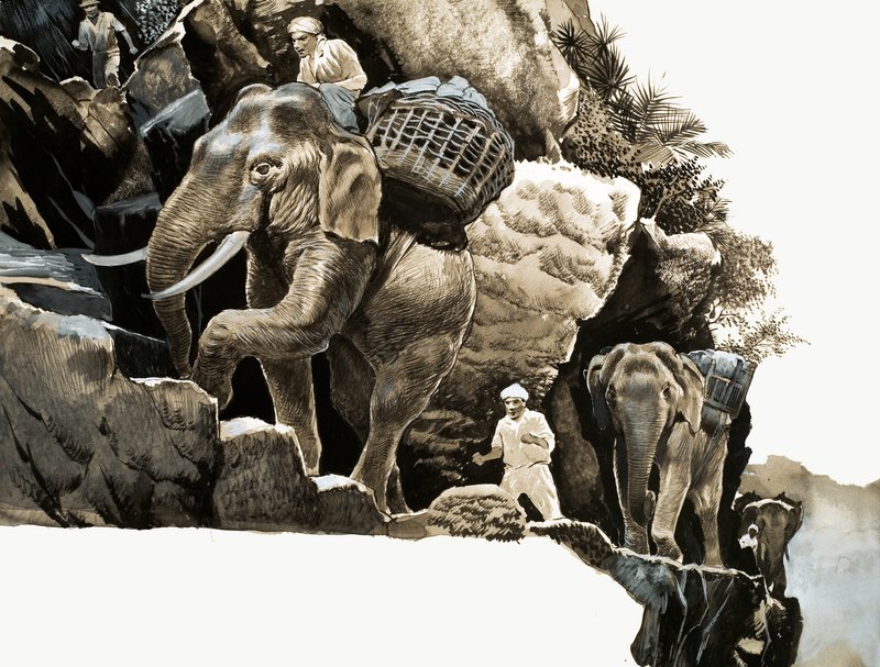 La randonnée des éléphants de Elephant Bill - English School