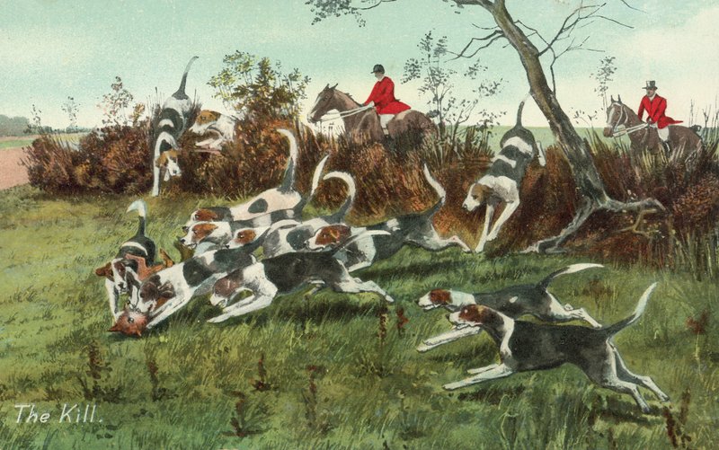 La chasse au renard - English School