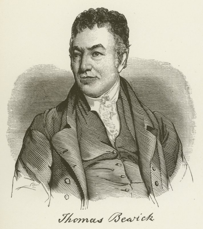 Thomas Bewick - English School