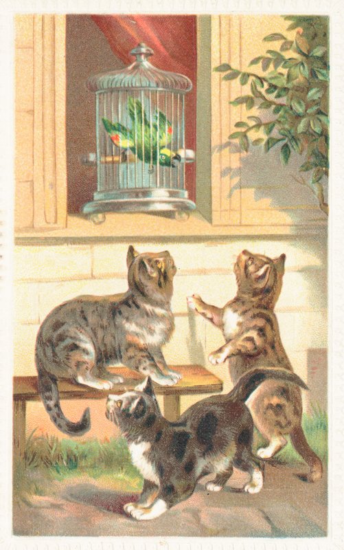 Trois chats assis sous une fenêtre - English School