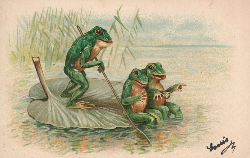 Trois grenouilles naviguant sur un nénuphar - English School