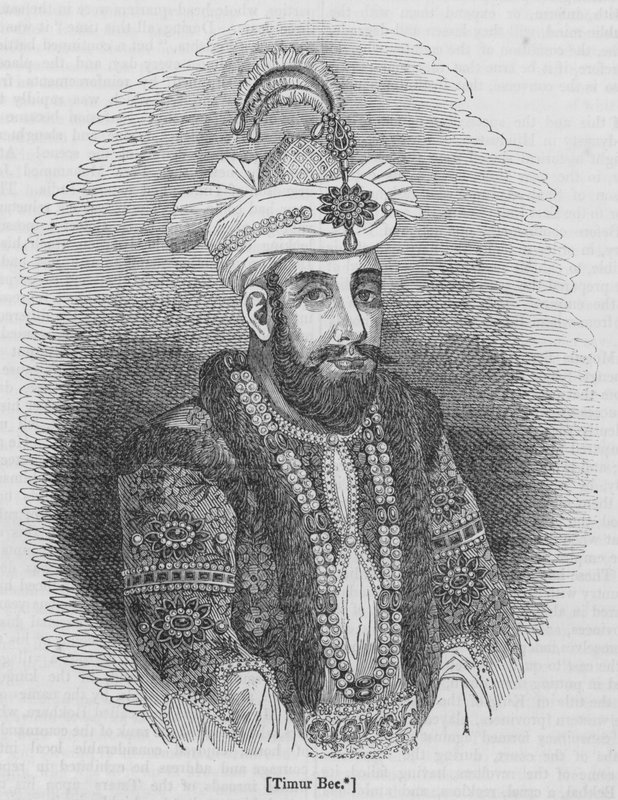 Timur Bec - English School