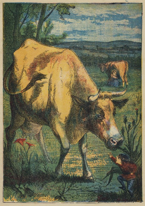 Tom Pouce et la Vache (lithographie en couleur) - English School