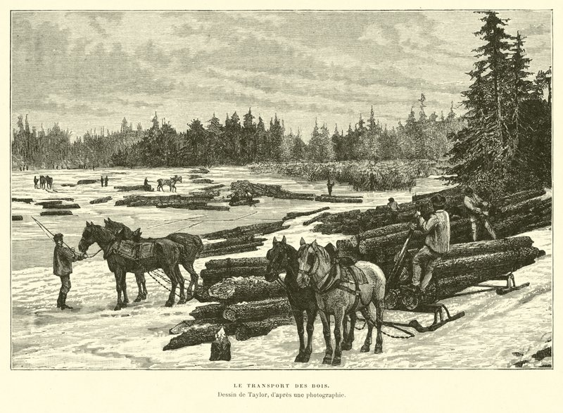 Transport de bois - English School